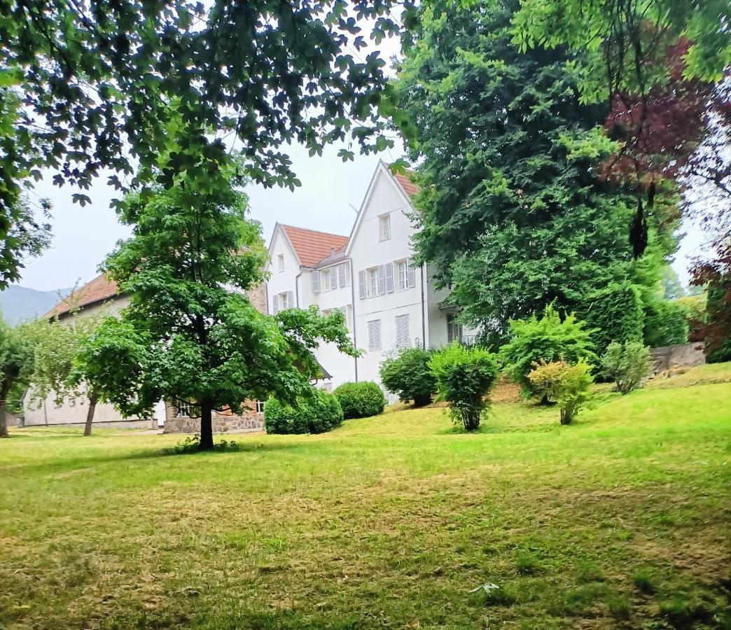 Bed and Breakfast Domaine De La Moselle Сен-Морис-Сюр-Мозель Экстерьер фото